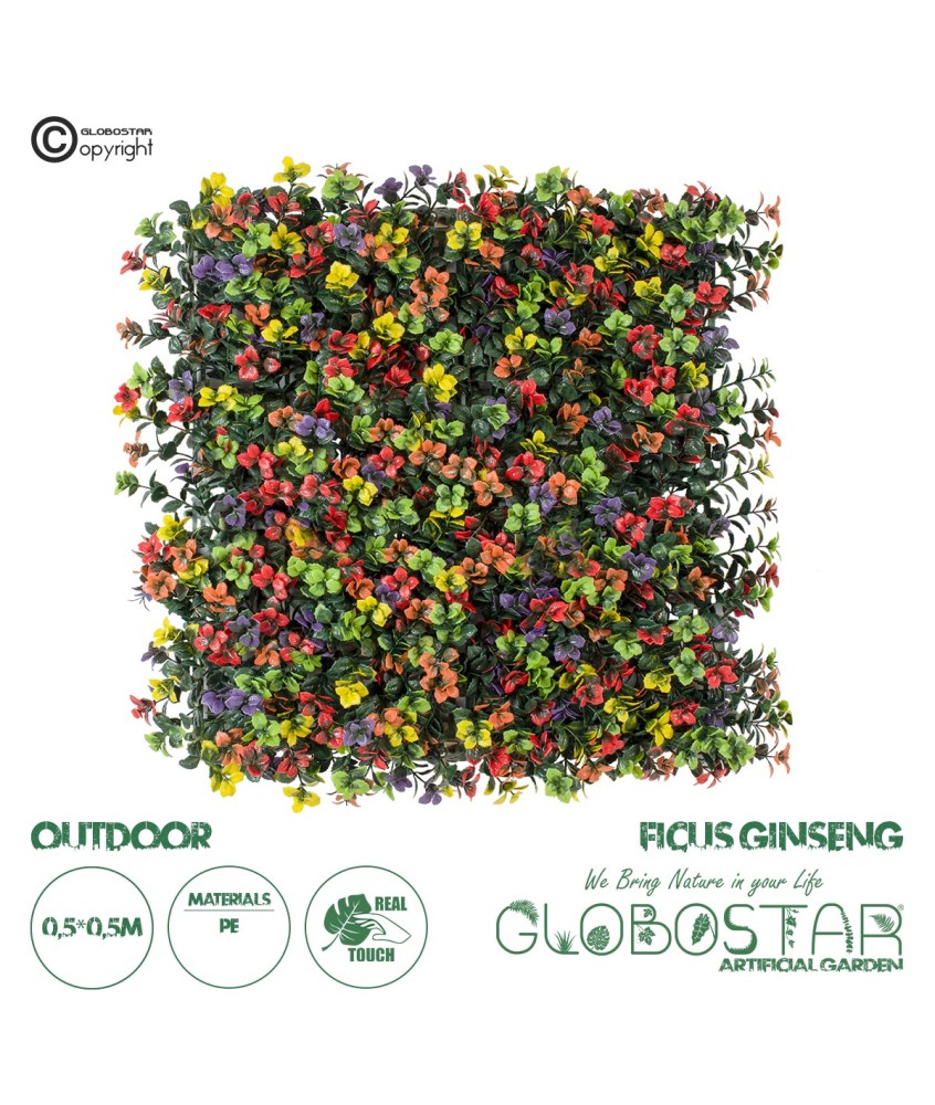 GloboStar® Artificial Garden FICUS GINSENG 20348 Τεχνητό Διακοσμητικό Πάνελ Φυλλωσιάς - Κάθετος Κήπος σύνθεση Πολύχρωμος Φίκος Τζίνσενγκ Μ50 x Π50 x Υ9cm